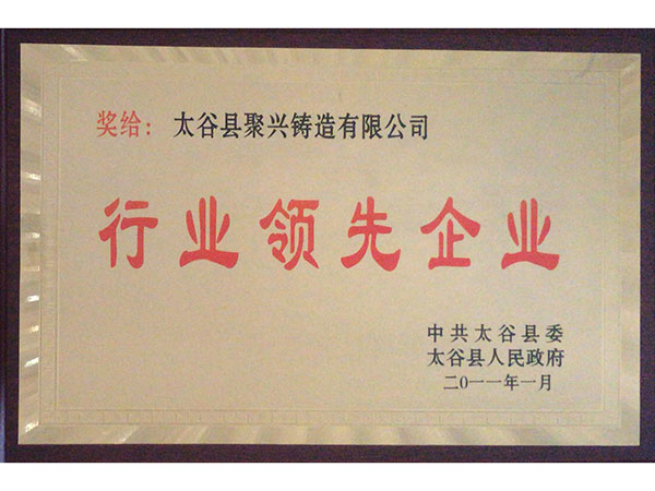 行業(yè)領(lǐng)先企業(yè)